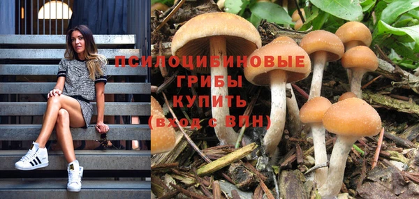 прущие крисы Покровск