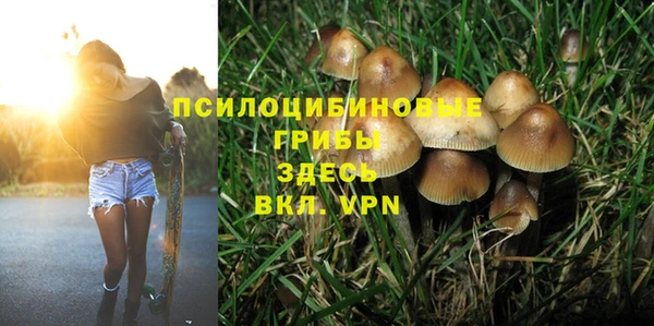 PSILOCYBIN Пересвет