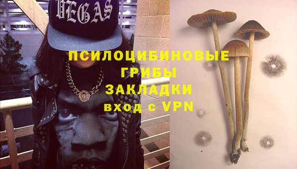 2c-b Нефтегорск